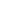 Magnifier Icon
